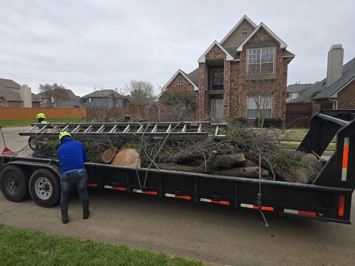 Expert Tree Pest Control with proper safety equipment in Peach Orchard